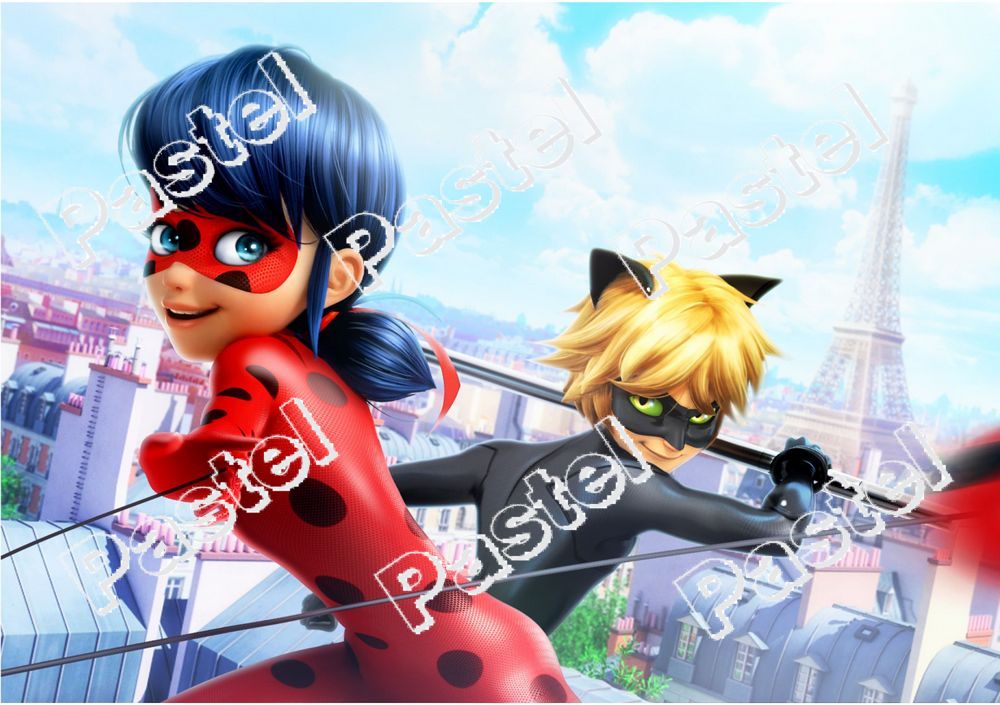 Фото декор за торта - Калинката и котарака