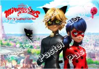 Art.No.1727- Фото декор за торта - Калинката и котарака от 