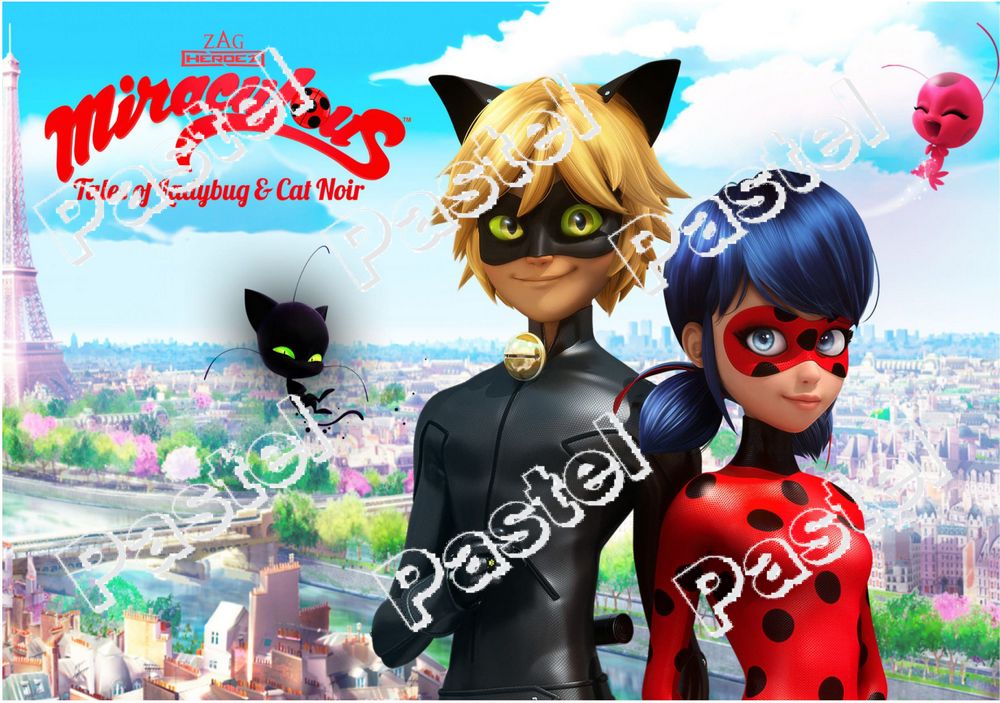 Фото декор за торта - Калинката и котарака