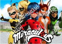 Art.No.1728- Фото декор за торта - Калинката и котарака от 